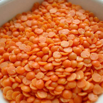 Common Masoor Dal Red Lentils