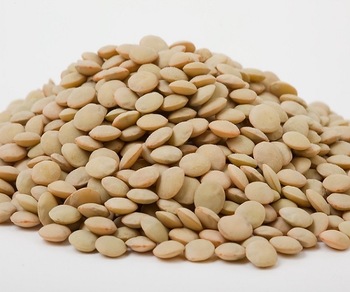 Common Organic Dried Lentils