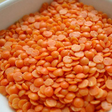 Common Split Red Lentils