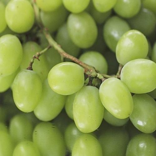 Organic Grapes