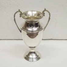 Trophy Cup Silver, Feature : Eco-Friendly