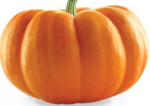 Organic Fresh Pumpkin