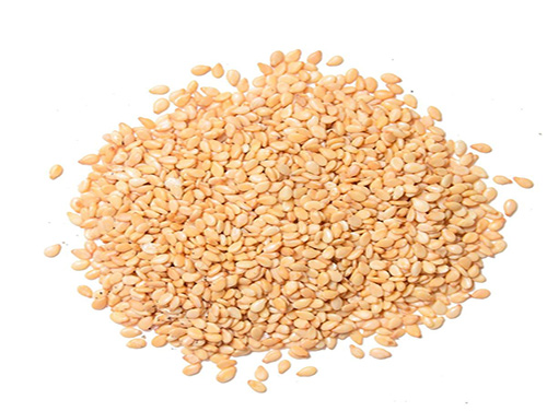 Organic Sesame Seeds, For Agricultural, Making Oil, Purity : 100%