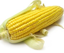 Yellow Corn