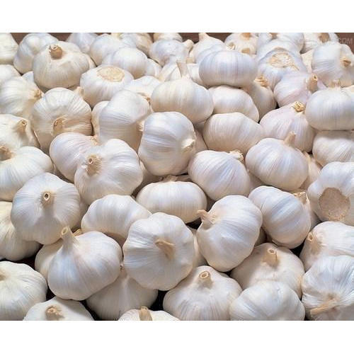 Organic Natural Fresh Garlic