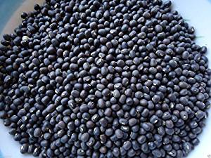 Organic Black Urad Beans, Packaging Type : Plastic Bag