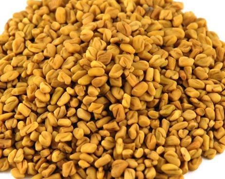 Organic Fenugreek Seeds, Shelf Life : 1year