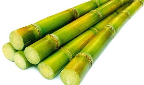 Fresh Sugarcane
