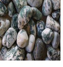 Tree Agate Pebbles