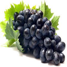 Organic Fresh Black Grapes, Shelf Life : 7-10days