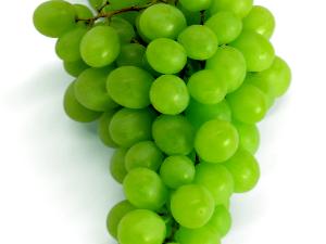 Organic Fresh Green Grapes, Packaging Type : Packed In Good Quality Boxes