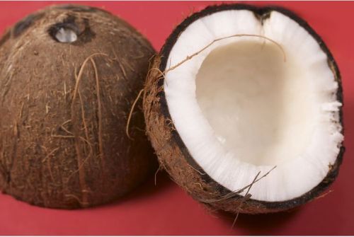 Common fresh coconut, Variety : Semi Husked