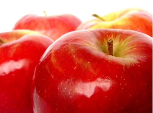 Organic Fresh Red Apple