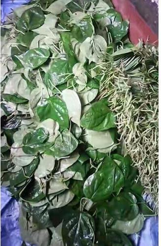 Organic Kali Bangla Betel Leaves, Feature : Improves Digestion