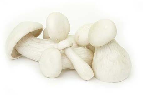 Fresh Milky Mushroom, Certification : Fssai