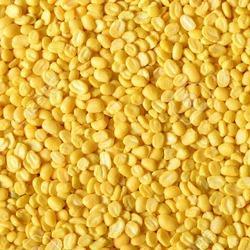 Organic Moong Dal, Shelf Life : 9months