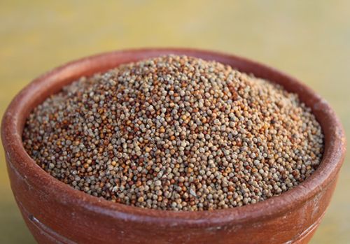 Natural Finger Millet Seed, For Cattle Feed, Cooking, Packaging Size : 25kg, 50kg