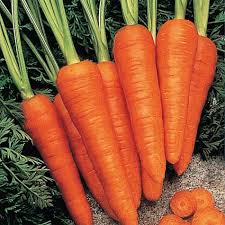 Organic Carrot, For Food, Juice, Pickle, Color : Orange