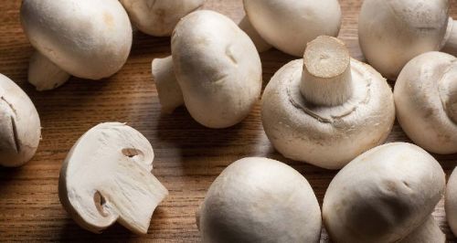 White Mushroom, For Cooking, Feature : Healthy