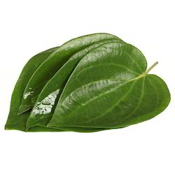 Herbal Fresh Betel Leaves, Feature : Improves Digestion