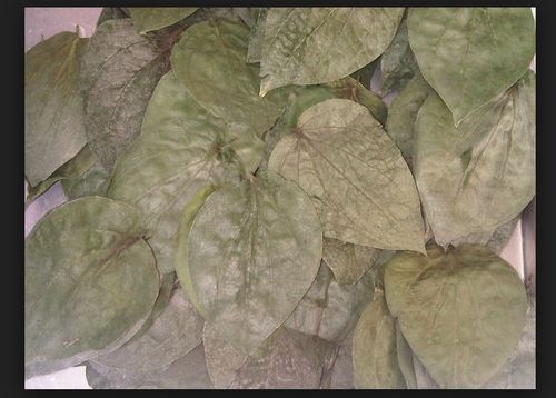 Organic Natural Dried Betel Leaves, Feature : Improves Digestion