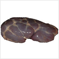 Buffalo Kidney Meat, For Hotel, Restaurant, Feature : Fresh, Good In Protein, Purity