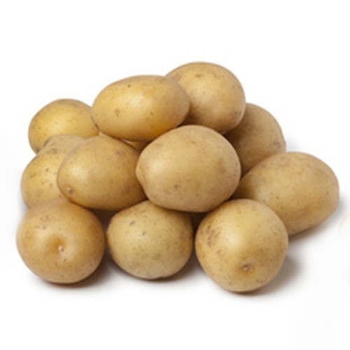 Organic Baby Potato, For Cooking, Packaging Type : Guny Bag, Jute Bag, Plastic Bag