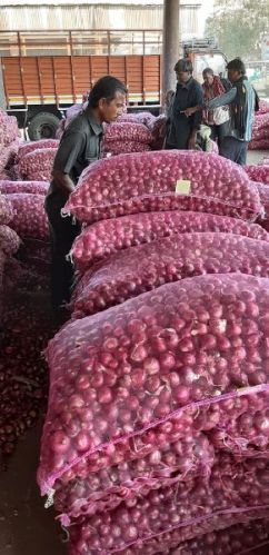 Organic Red Onion, For Cooking, Packaging Type : Plastic Packet