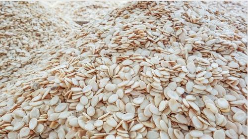 Hybrid Musk Melon Seeds, Feature : Low-Fat