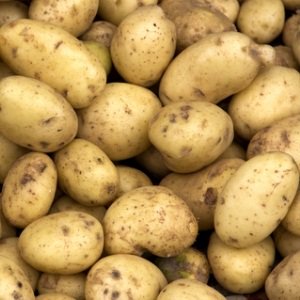 Organic Natural Potato