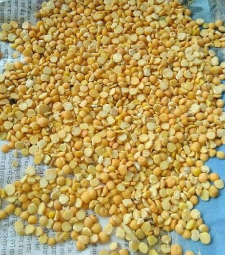 Matar Dal, Packaging Size : 20Kg, 50Kg