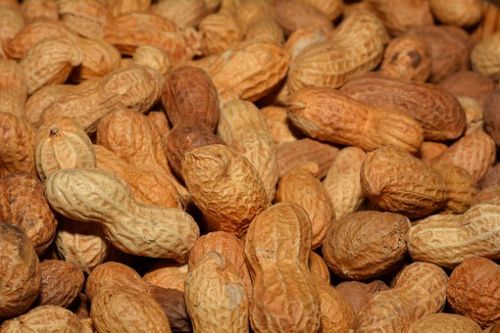 Natural Groundnuts(Peanuts), Grade : First