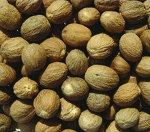 Nutmeg Or Jaifal