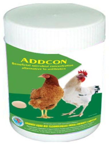 Addcon Antibiotics