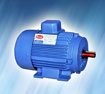 Electric Motor