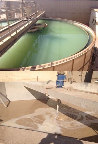 Sedimentation System