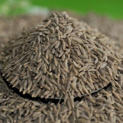 Cumin seeds, Application : Cooking