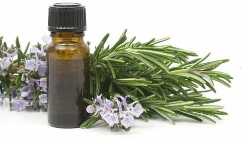 Natural Rosemary Oil, Form : Liquid