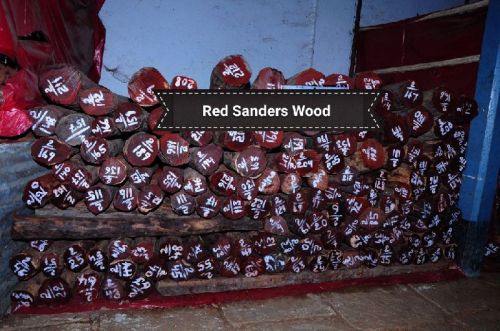 Red Sandalwood