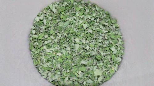 Moringa dried leaves, Color : Natural Green, Grade : Food Grade