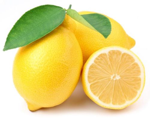 Organic Fresh Lemon, Size : Multisizes