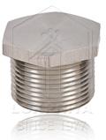 Stainless Steel Socket Pipe Plug
