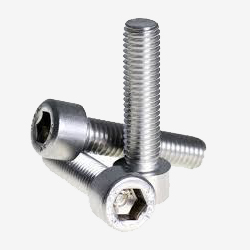SS Allen Cap Screws