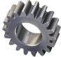 Spur Gear