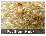Psyllium Husk, Color : Brown, Packaging Type : Plastic Bag