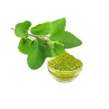 Basil Powder, For Medicines Herbal Cosmetics
