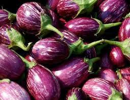 Organic Fresh Brinjal, Packaging Size : 20kg