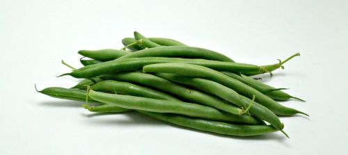 Organic Fresh Green Beans, Packaging Size : 20kg