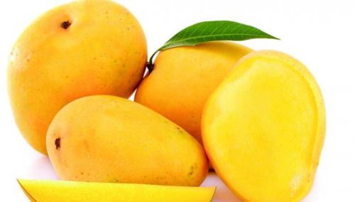 Organic Fresh Mango,fresh Mango, Packaging Size : 50kg