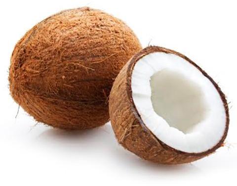 Common Fresh Coconut, Color : Brown